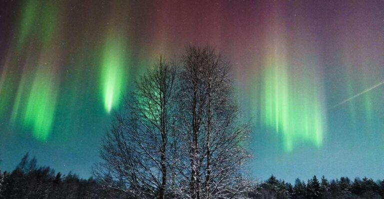 Rovaniemi: Northern Lights Hunt With A Photographer Overview Of The Tour