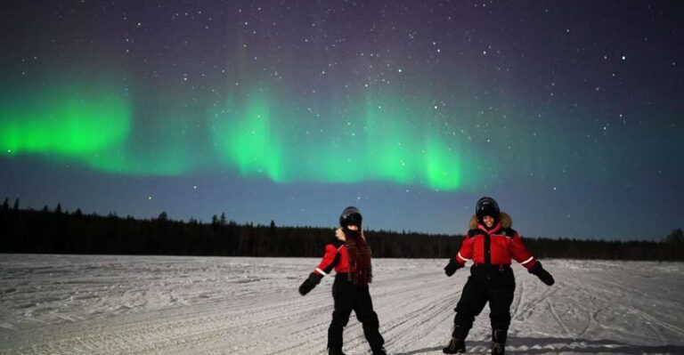 Rovaniemi: Northern Lights Sleigh Ride Tour Overview