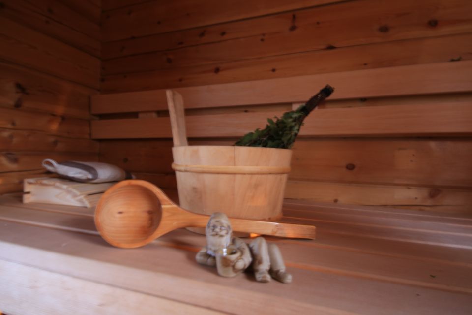 Rovaniemi: Private Sauna, Jacuzzi and Dinner - Booking Details