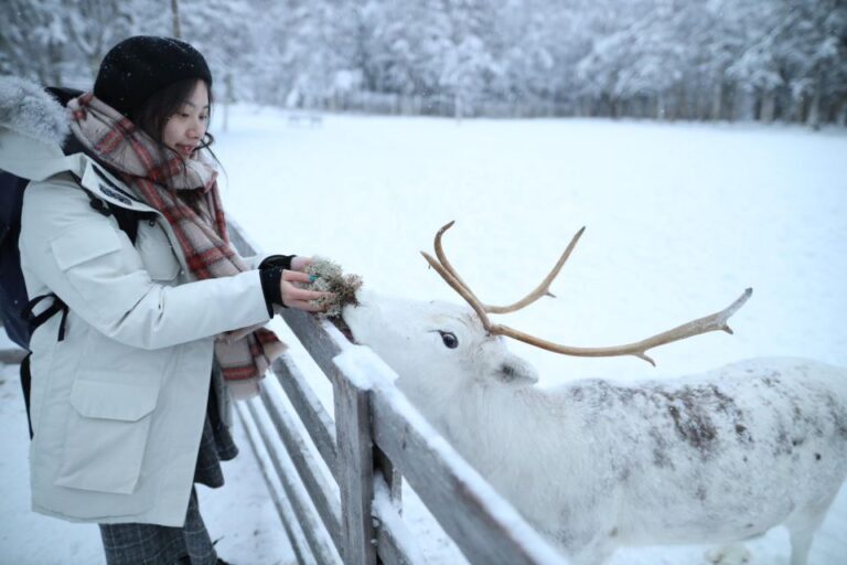 Rovaniemi: Santa Claus Village Tour & Reindeer & Husky Ride Visiting Santa Claus Village