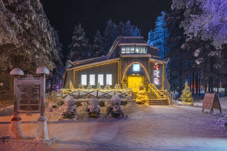 Rovaniemi: Search for Northern Lights Snowmobiling Trip - Tour Overview