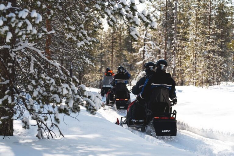 Rovaniemi: Snowmobile Adventure Tour For Adults Only Tour Details