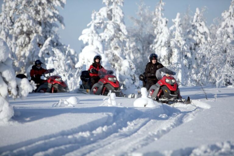 Rovaniemi: Snowmobile Safari Adventure Overview Of The Adventure