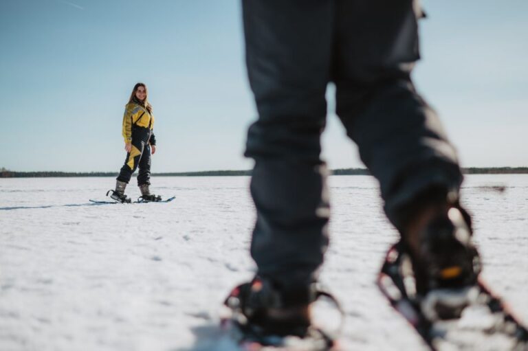 Rovaniemi: Snowshoe Walk To The Arctic Nature Activity Details