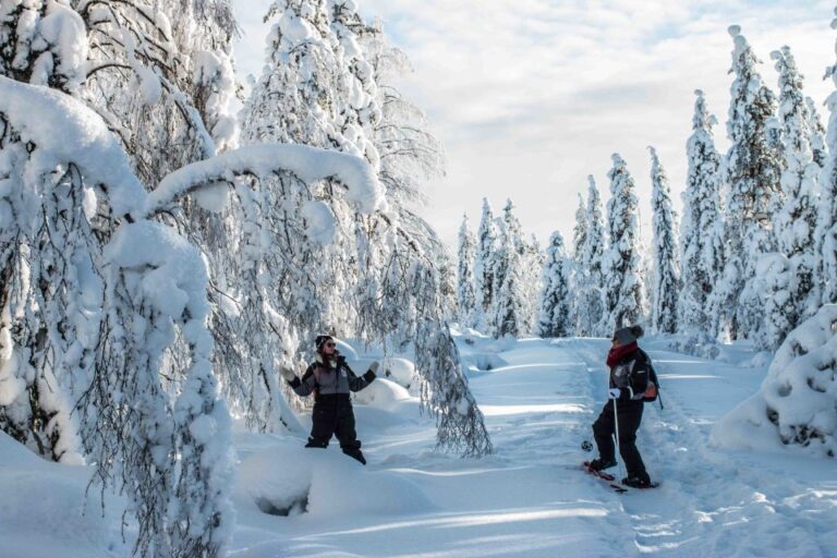 Rovaniemi: Snowshoe Wilderness Adventure Activity Overview