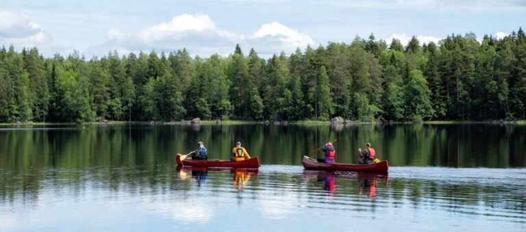 Rovaniemi: Wilderness Kayaking Adventure Trip With Hot Drink Discover Laplands Wilderness Wonders