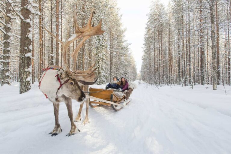 Rovaniemi: Winter Snowshoeing, Reindeer & Husky Sleigh Ride Winter Wonderland Tour Overview