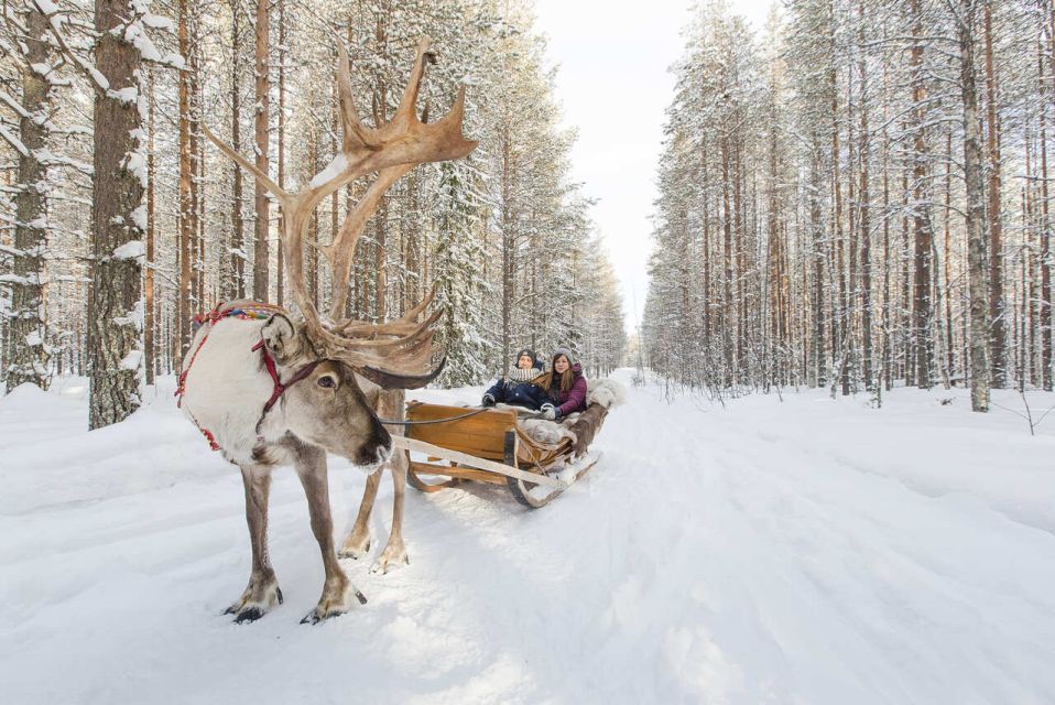 Rovaniemi: Winter Snowshoeing, Reindeer & Husky Sleigh Ride - Winter Wonderland Tour Overview