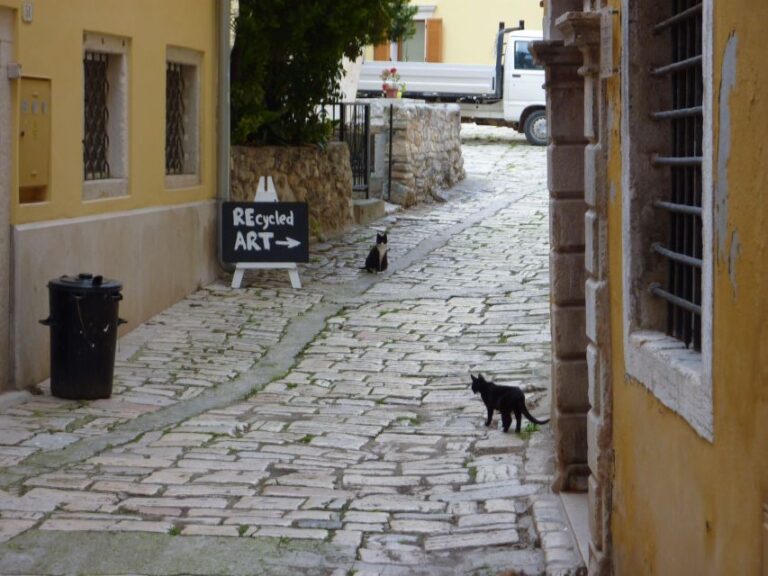 Rovinj: Private Walking Tour Historical Influences In Rovinj