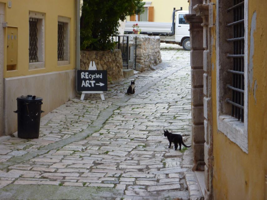 Rovinj: Private Walking Tour - Historical Influences in Rovinj