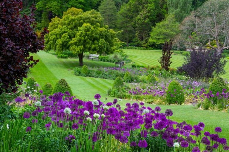 Royal Horticultural Society: Harlow Carr Garden Ticket Garden Overview