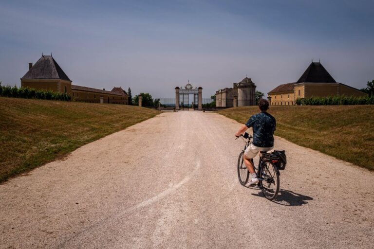 Saint Emilion Half Day Ebike And Wine Tour With Picnic Tour Overview