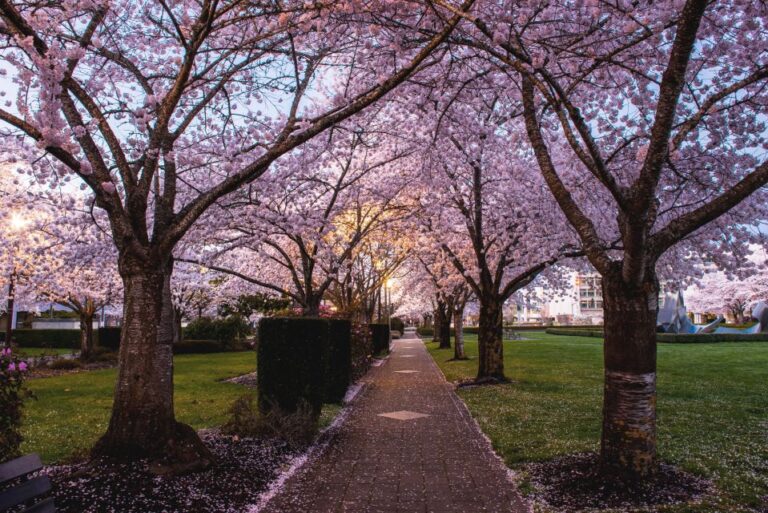 Salem: Witch Trial Walking Tour Tour Overview