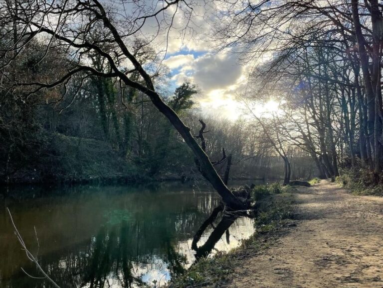 Saltaire: Full Day Guided Walking Tour Explore The Unesco Listed Village