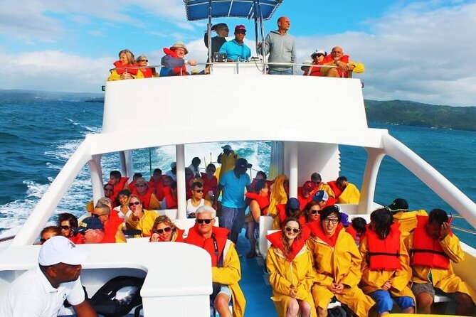 Samana Bay Whale Watching Full Day Tour With Lunch From Punta Cana Itinerary And Inclusions