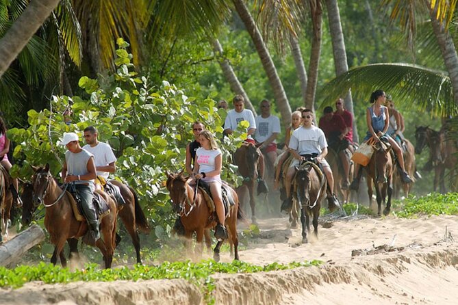 Samana + Cayo Levantado + Horseback Riding From Punta Cana With Lunch - Logistics and Important Information