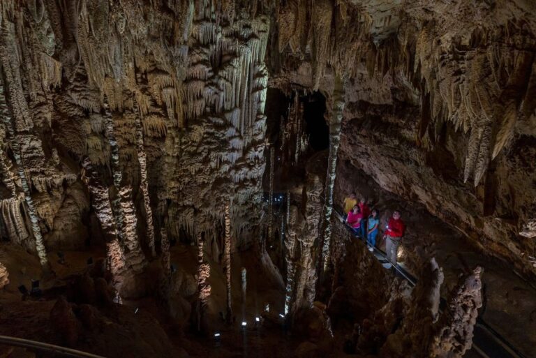 San Antonio: Discovery Tour At Natural Bridge Caverns Exploring Natural Bridge Caverns