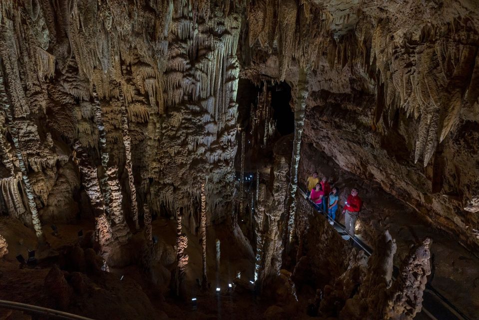 San Antonio: Discovery Tour at Natural Bridge Caverns - Exploring Natural Bridge Caverns