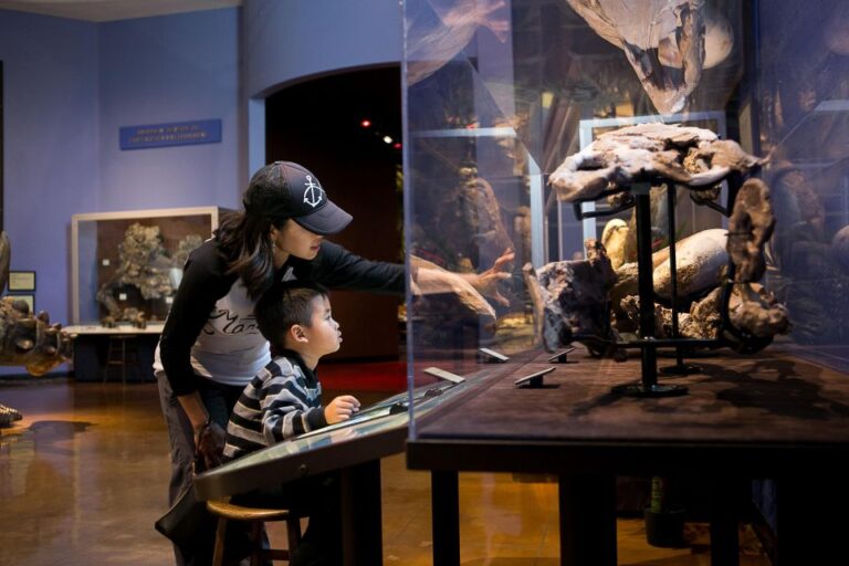 San Diego: San Diego Natural History Museum Ticket Ticket Pricing And Cancellation