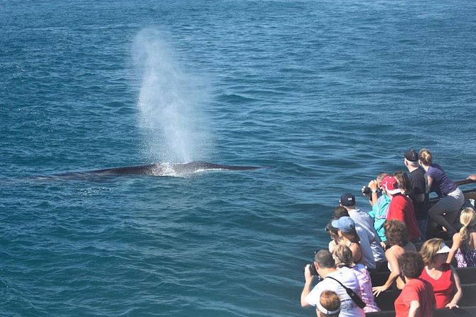 San Diego Whale Watching Cruise Onboard Amenities And Facilities