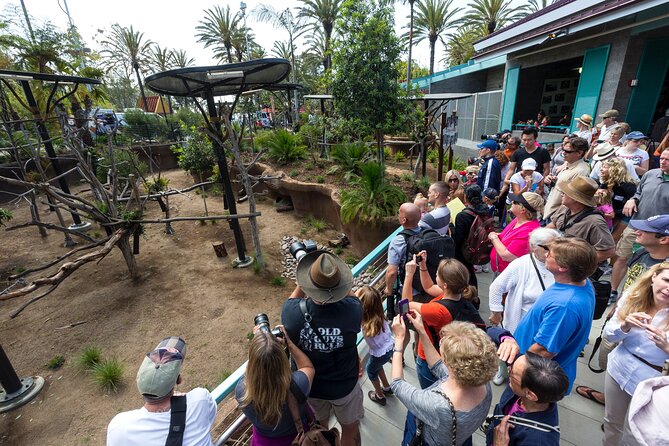 San Diego Zoo 1 Day Pass: Any Day Ticket Overview Of The San Diego Zoo