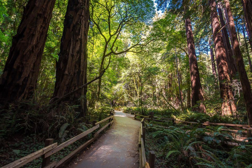 San Francisco: Muir Woods & Sausalito Tour W/Alcatraz Option - Tour Overview