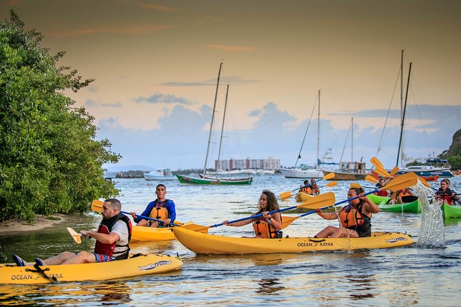 San Juan Bio Bay Kayak Night Tour With Transport - Booking Details