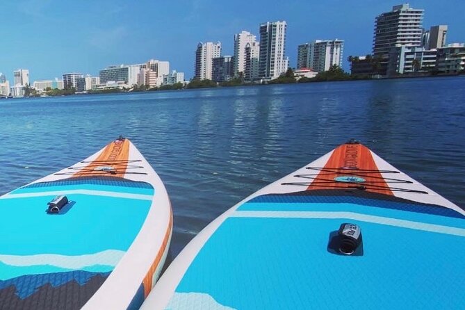 San Juan Guided Paddle Boarding Experience At Condado Lagoon Overview Of The Experience