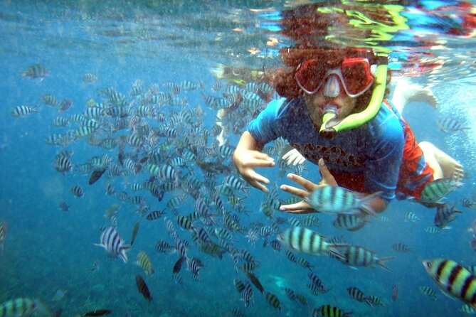 San Juan Guided Snorkeling Experience With Transport 8am 3pm Meeting And Pickup Information