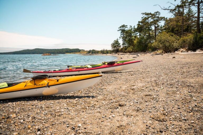 San Juan Island: 3 Hour Kayak Tour Tour Overview