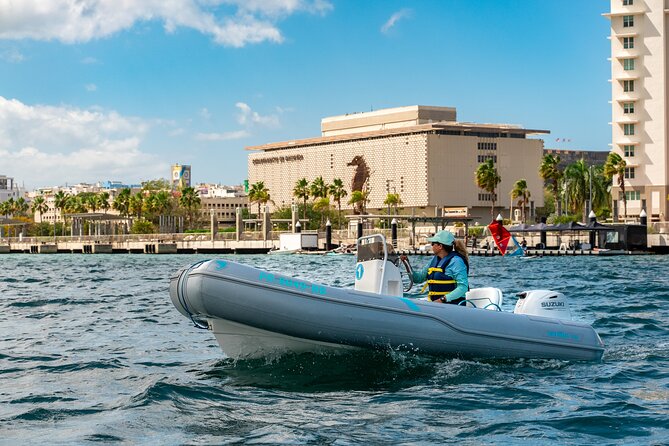 San Juan Mini Boat Tour