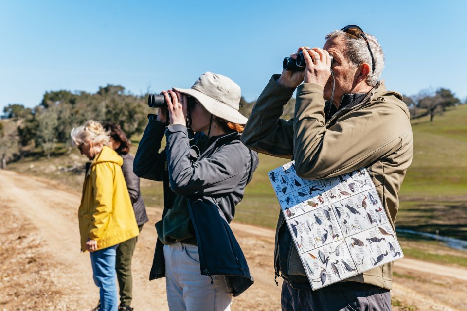 San Luis Obispo: Santa Lucia Guided Nature Tour by Hummer - Tour Overview