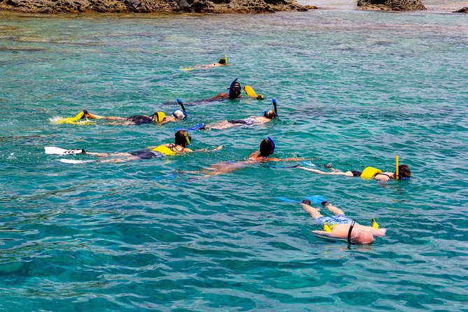 Sand Dollar Half Day Snorkel Trip Whats Included In The Package