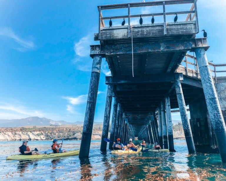 Santa Barbara: Coastline Kayak Tour With Knowledgeable Guide Tour Overview