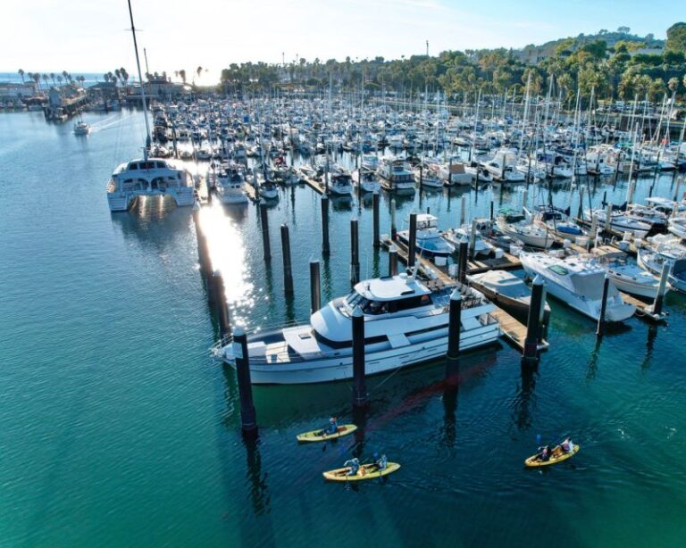 Santa Barbara: Guided Kayak Wildlife Tour Tour Overview