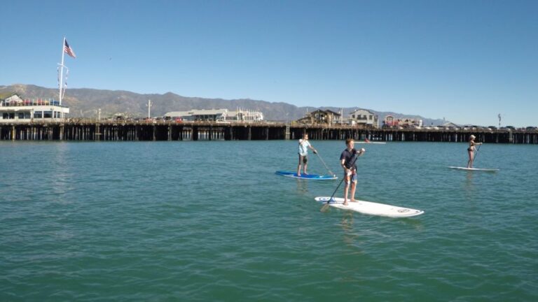 Santa Barbara: Stand Up Paddle Board Rental Activity Overview