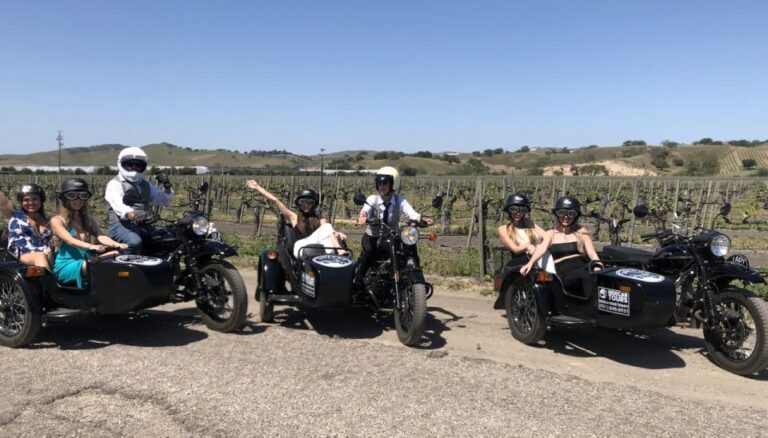 Santa Cruz: Sidecar Wine Tour With Guide And Wine Tasting Highlights Of The Experience