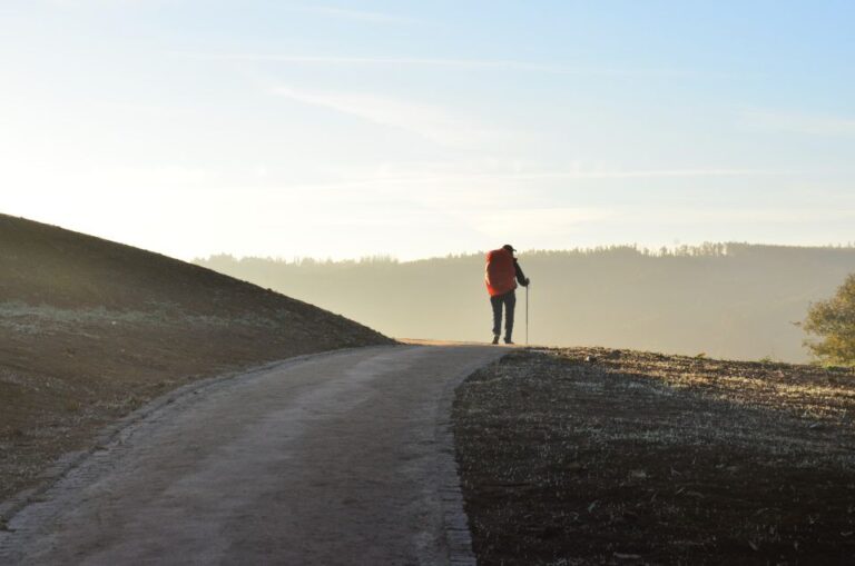 Santiago De Compostela: Private Walking Tour Tour Overview