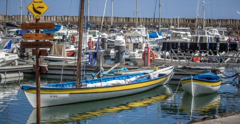 Sao Miguel: Azorean Whalers Heritage Tour Tour Overview