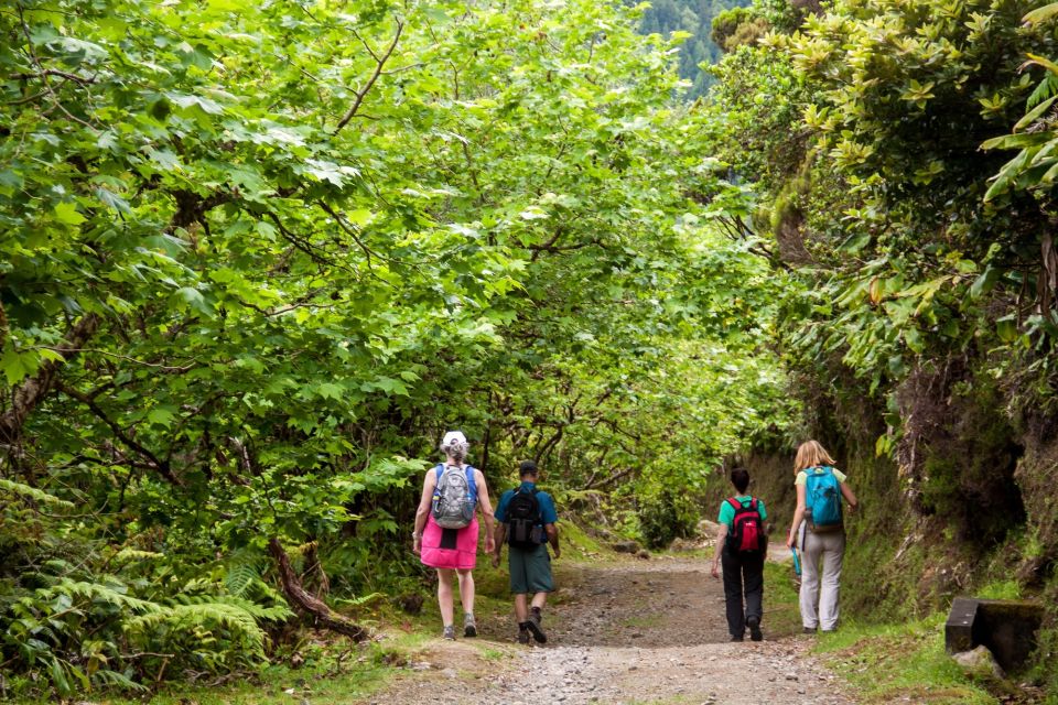 Sao Miguel: Full-Day Hike to Lagoa Do Fogo - Overview