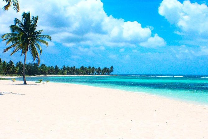 Saona Island Vip Full Day All Inclusive Excursion! Tour Overview