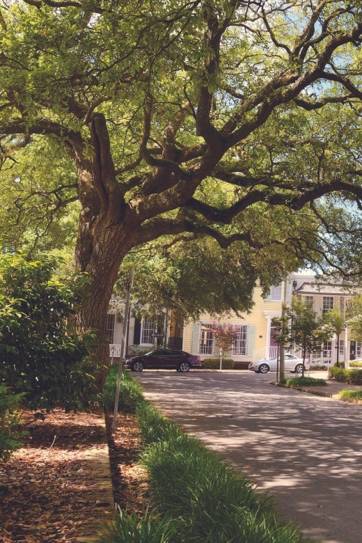 Savannah's Enchanted Stroll: A Journey Through Time - Itinerary