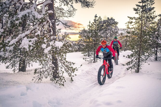 Scenic Electric Fat Bike Group Ride in Rovaniemi - Tour Overview