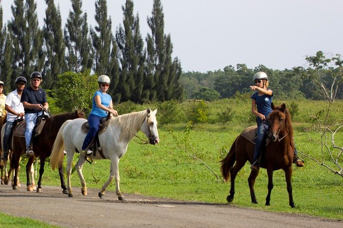 Scenic Horseback Riding Tour From San Juan Tour Overview