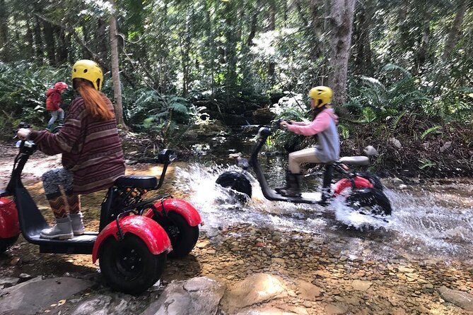 Scooter Tours Through Tsitsikamma National Park Exploring The Tsitsikamma Wilderness