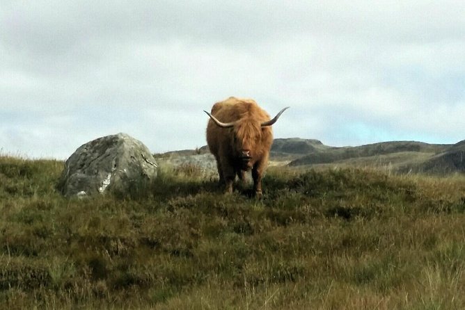 Scottish Highland Bike Tour By Manual Or E Bike Tour Overview