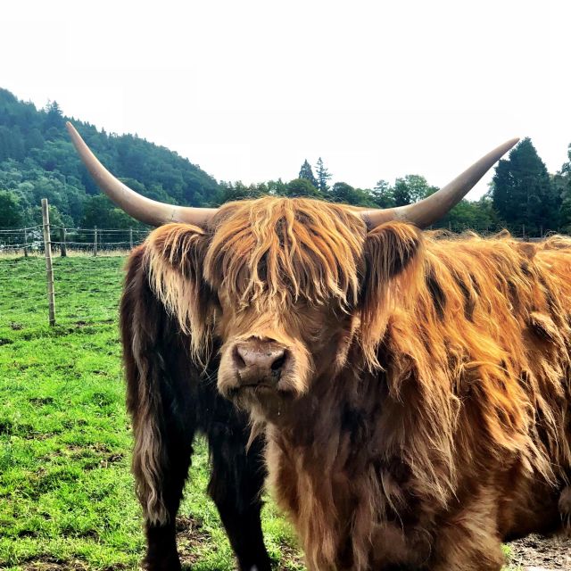 Scottish Highlands And Battle Of Culloden Captivating Scottish Scenery