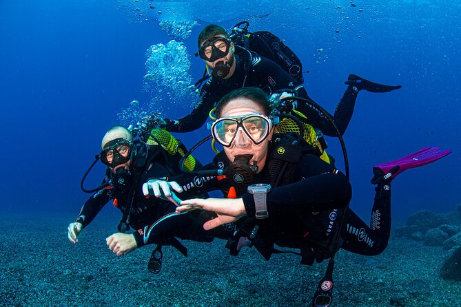 Scuba Diving Baptism Experience In Santa Cruz Tenerife Meeting Point Location