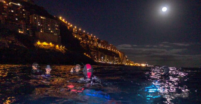 Scuba Night Dive On Tenerife Activity Overview