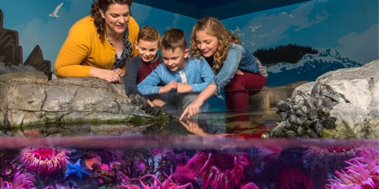 Sea Life Michigan Aquarium General Admission Admission And Pricing Details